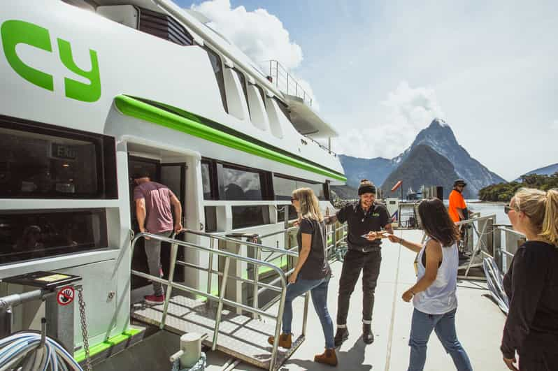 milford sound nature cruise on premium glass roof catamaran