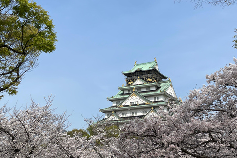 Osaka: Visita guiada de 3 horas ao Castelo e Museu Histórico de Osaka