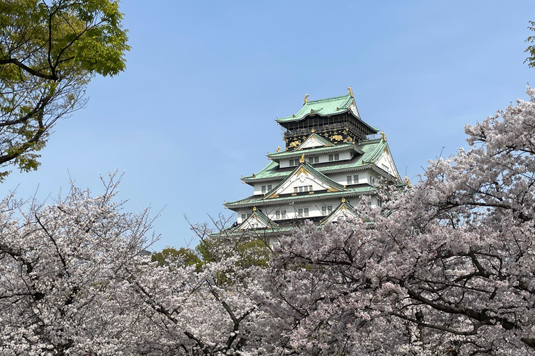 Osaka: Visita guiada de 3 horas ao Castelo e Museu Histórico de Osaka