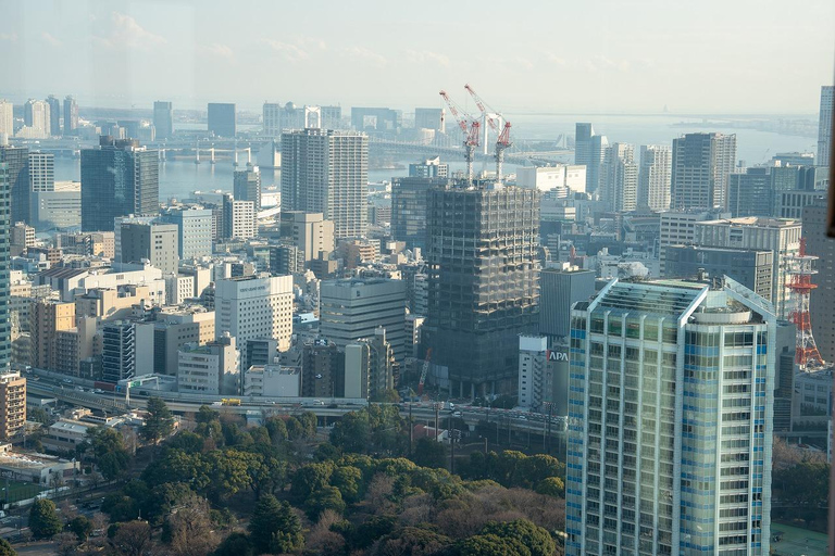 Tokyo: 1-dagars höjdpunkter med privat bil och guide