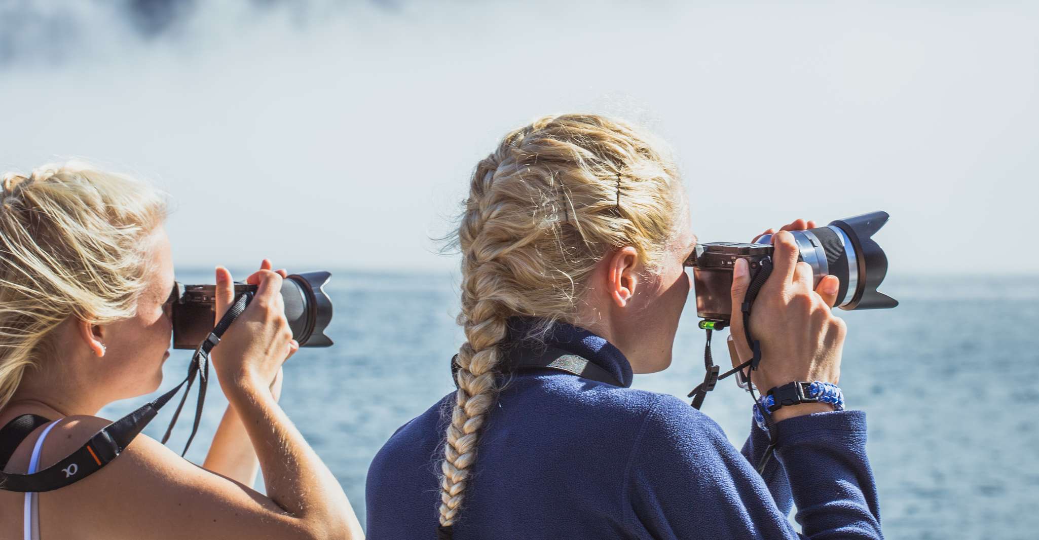Milford Sound, Nature Cruise su un moderno catamarano - Housity