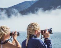Milford Sound, Nature Cruise op een moderne catamaran - Housity