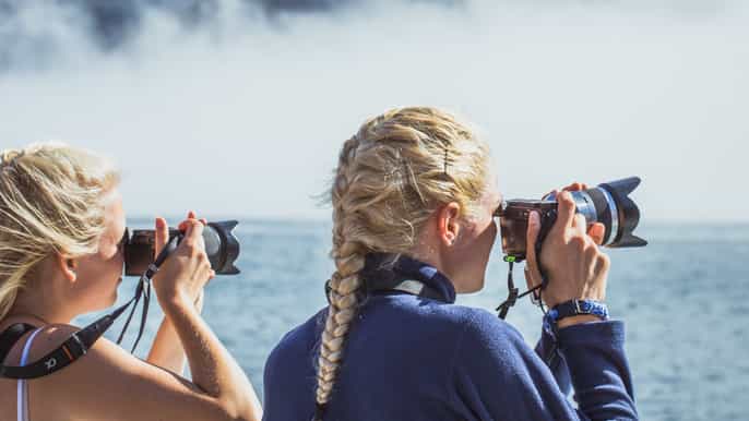 croisière nature à milford sound sur un catamaran haut de gamme avec toit en verre