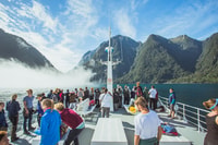 Milford Sound, Waterfalls, Wildlife et Rainforest Cruise - Hizvo