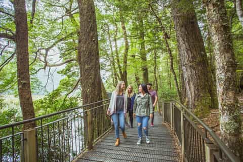 Queenstown: Milford Sound Coach & Cruise Full-Day Trip
