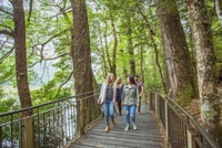 De Te Anau, Milford Sound Coach Tour et Croisière - Hizvo