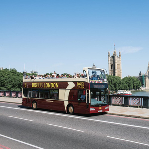 London: Big Bus Hop-on Hop-off Tour with River Cruise Option