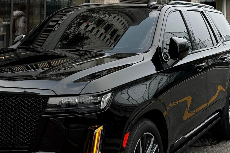 Seoul: Private Luxury Vehicle Tour - English or Spanish Seoul 5 Hour Tour - Escalade