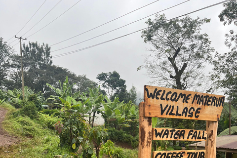 Lieu : Tournée des cafés du village de Materuni