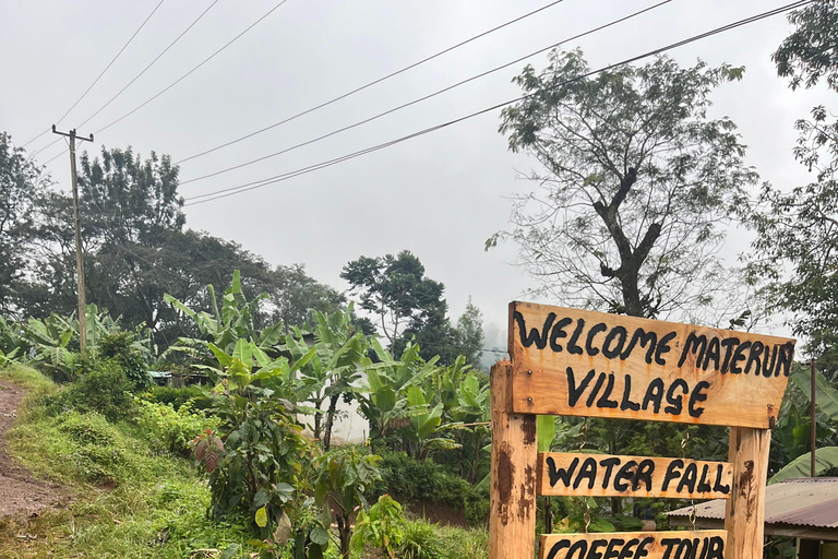 Localización: Tour del café del pueblo de Materuni