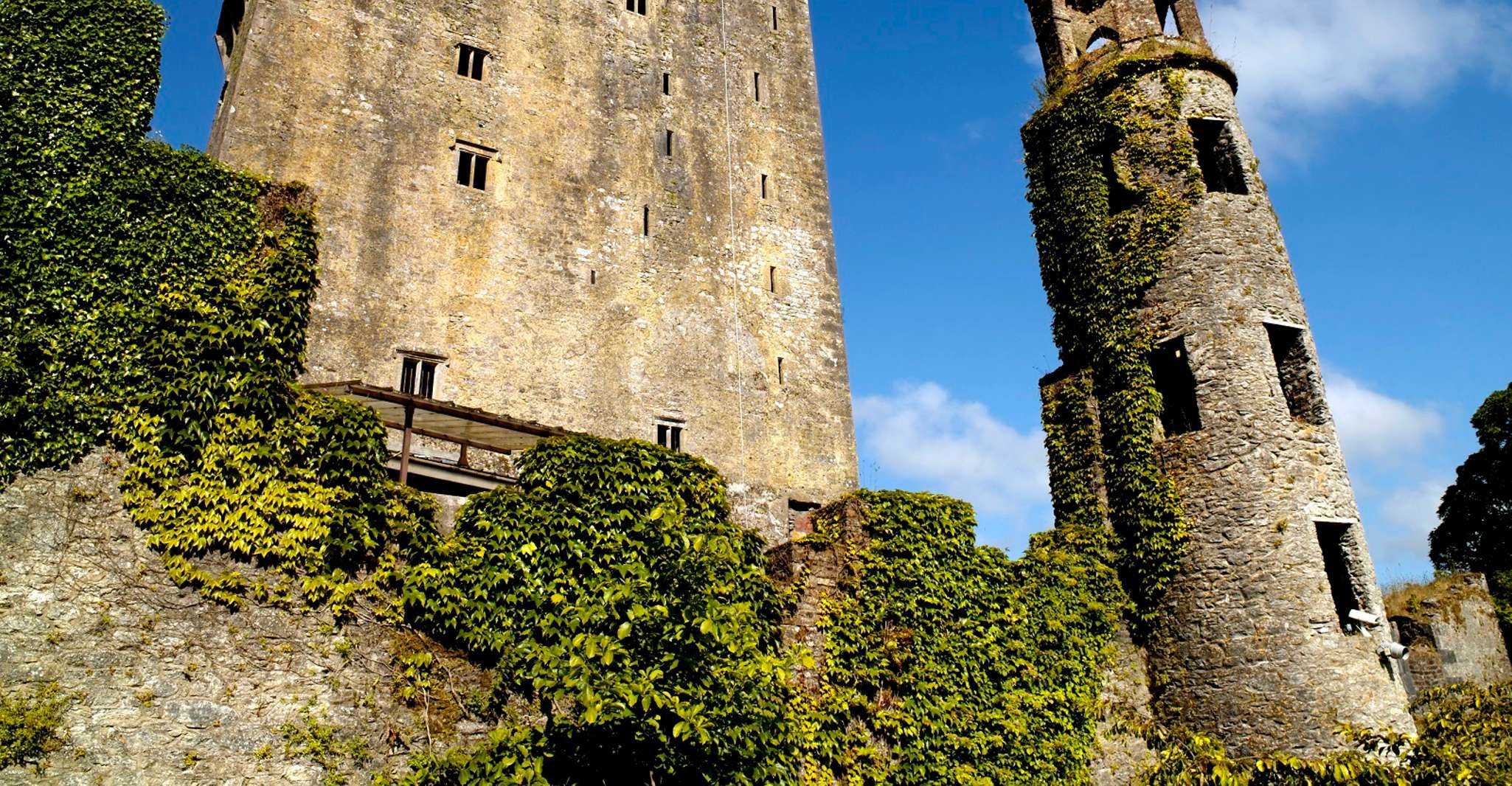 Blarney Castle Full-Day Tour from Dublin - Housity