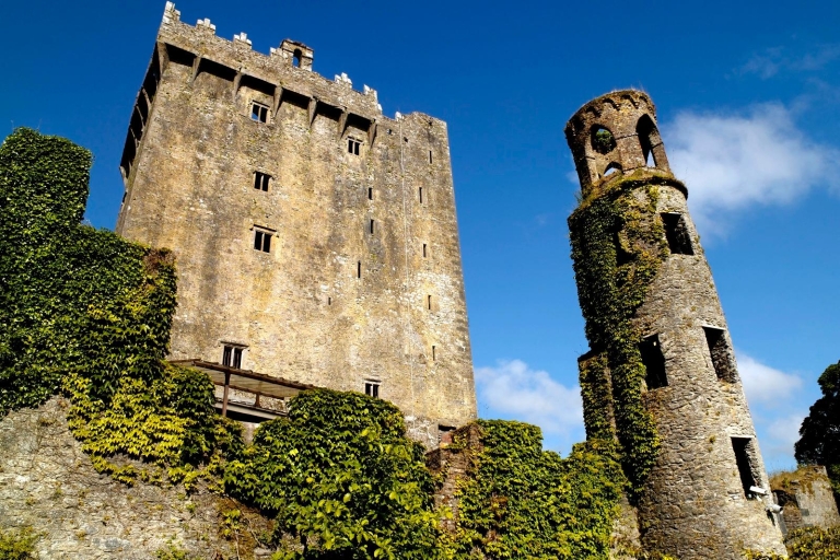 Blarney Castle Full-Day Tour from Dublin Departures from Paddys Palace