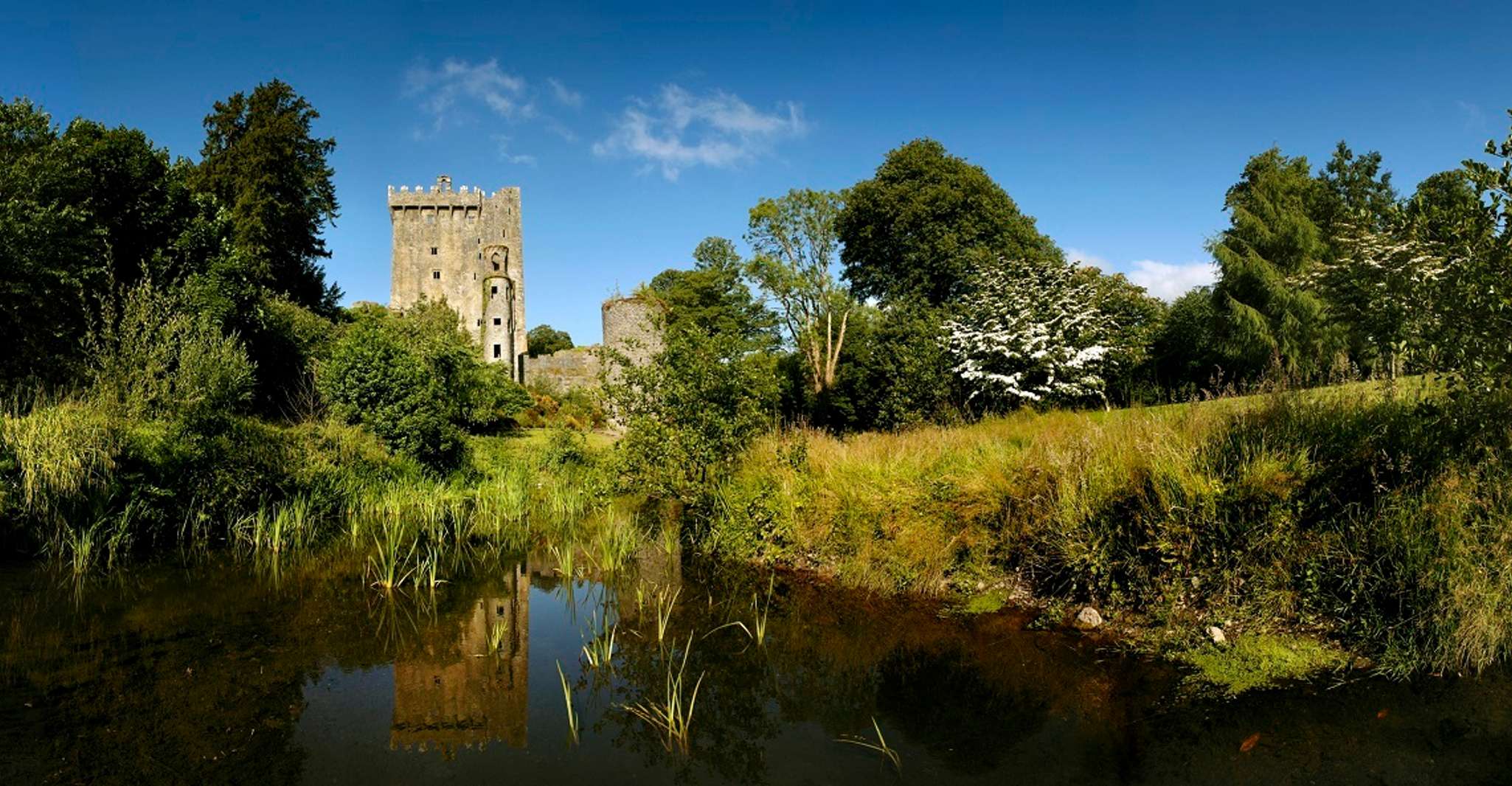 Blarney Castle Full-Day Tour from Dublin - Housity