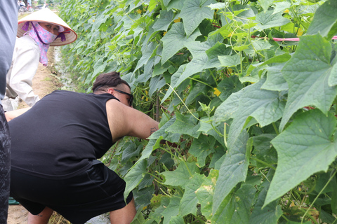 Hanoi: Village Farm Tour y clase de cocina con almuerzo