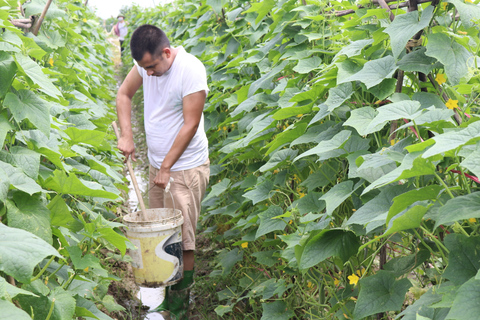 Hanoi: Village Farm Tour y clase de cocina con almuerzo