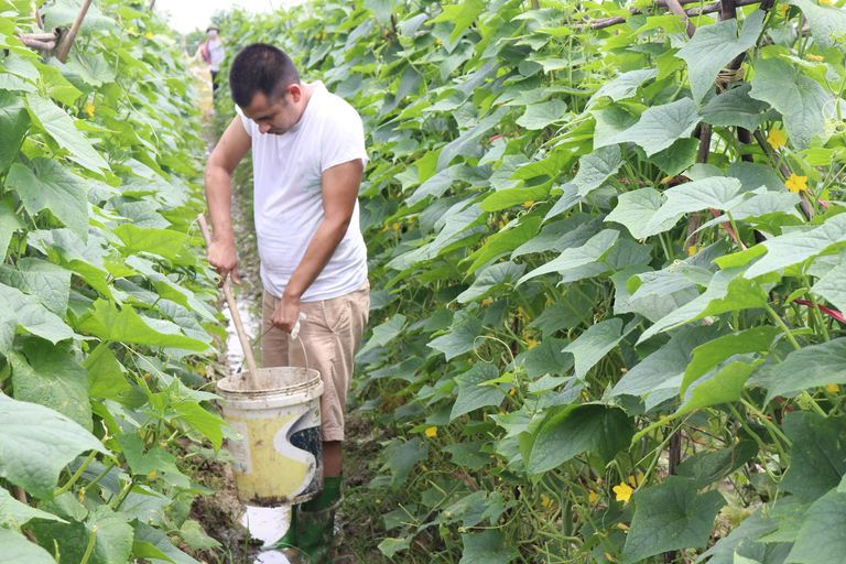 Hanoi: Village Farm Tour en kookcursus met lunch