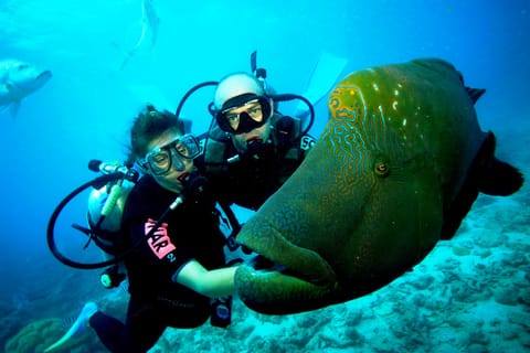 Buceo en Goa con deportes acuáticos en Grand Island