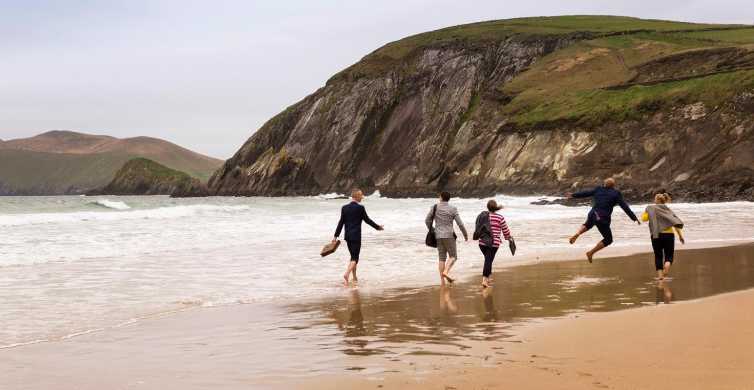 Dingle Day Tour from Limerick GetYourGuide