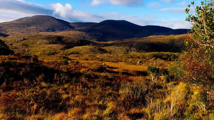 ring of kerry fullday tour from killarney