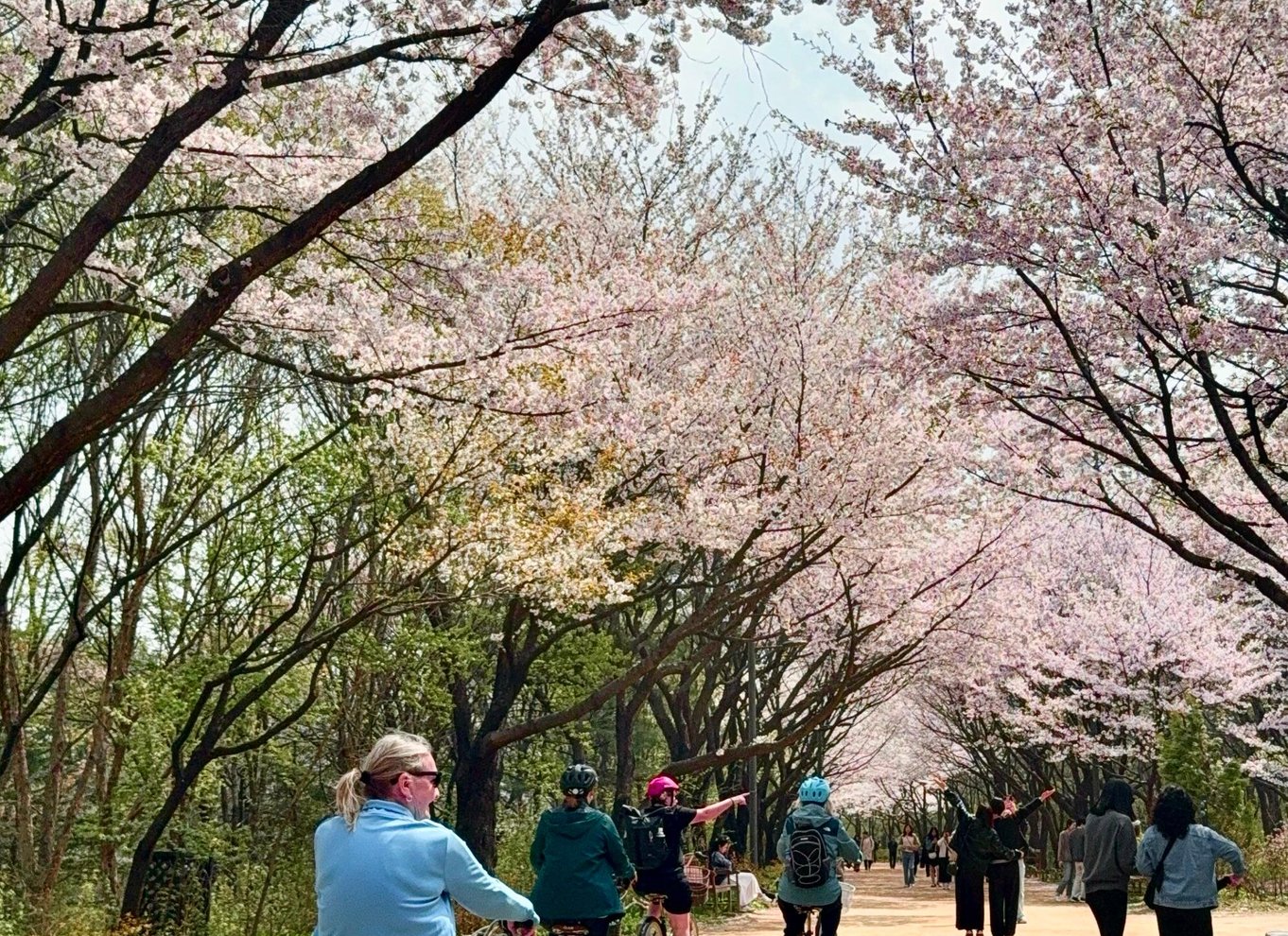 Seoul: Morgencykeltur langs Han-floden med en lokal