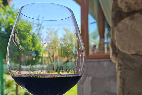 Kutaisi: Sataplia, Dinosaur Footprint, included Wine Tasting