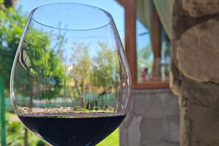 Kutaisi: Sataplia, Dinosaur Footprint, included Wine Tasting