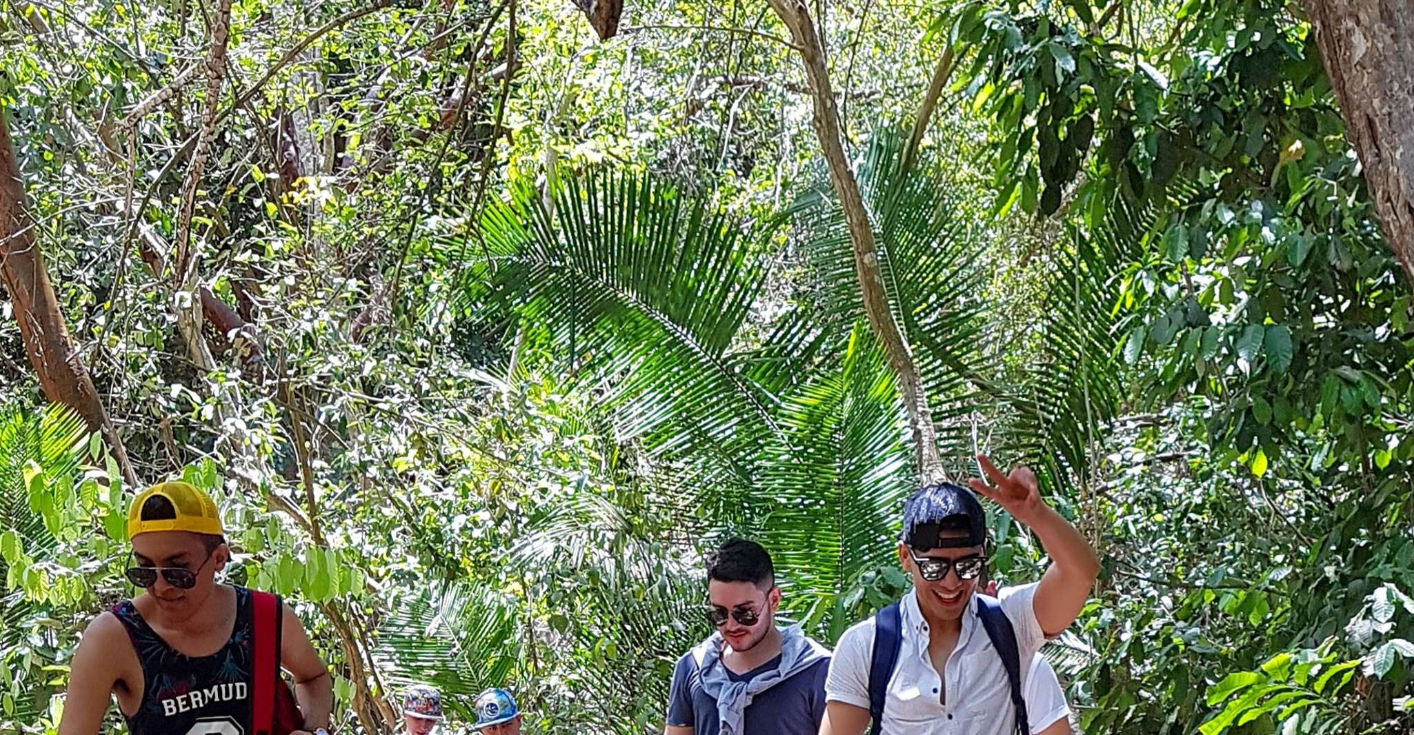 Puerto Vallarta, 4-Hour Jungle Hike and Waterfall Swim - Hizvo