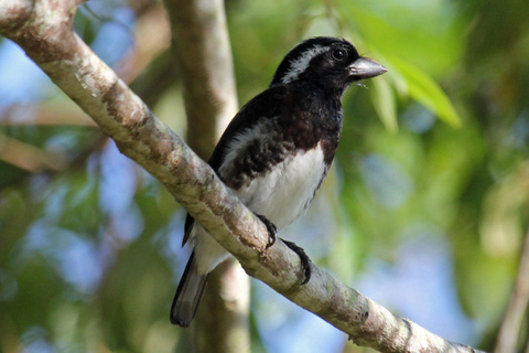 Durban: Vogels spotten in St Lucia