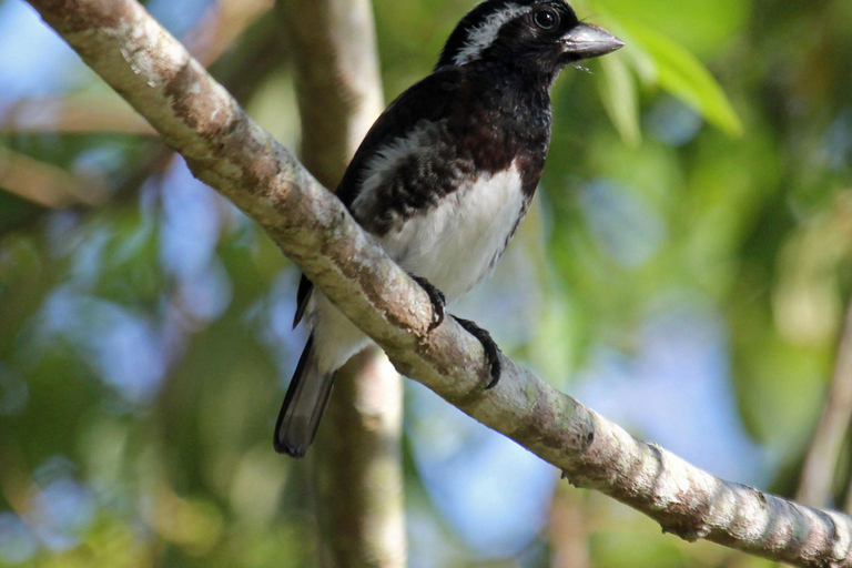 Durban: Vogels spotten in St Lucia