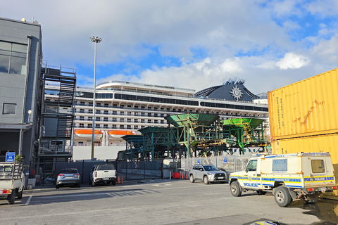 Cape Town: Cruise Passengers sunset Safari & Wine Tour
