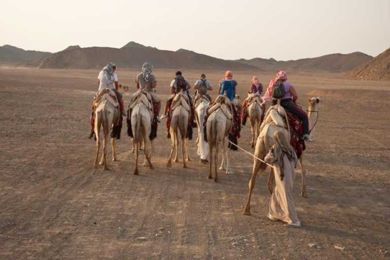 Marsa Alam: Sunset Desert Safari Excursion En Quad Bike