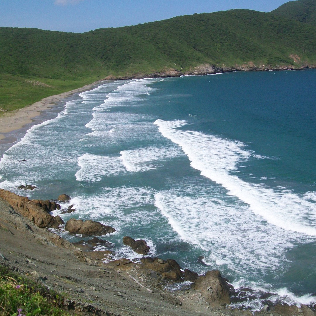 Colagem de mídia