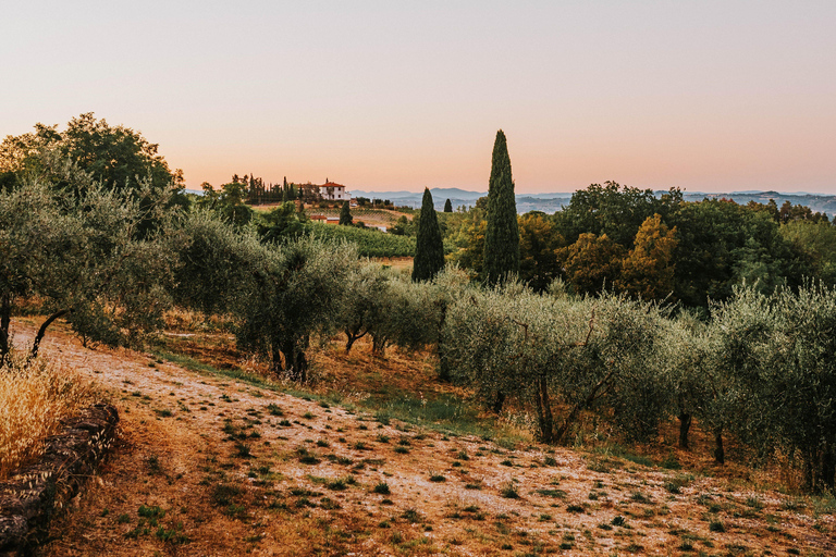 Martina Franca: Masseria Tour with Pasta & Mozzarella Class