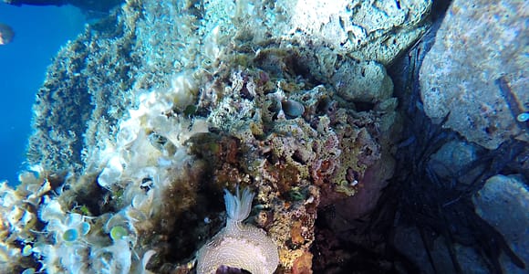 Dubrovnik: 1-tägiger Schnuppertauchkurs