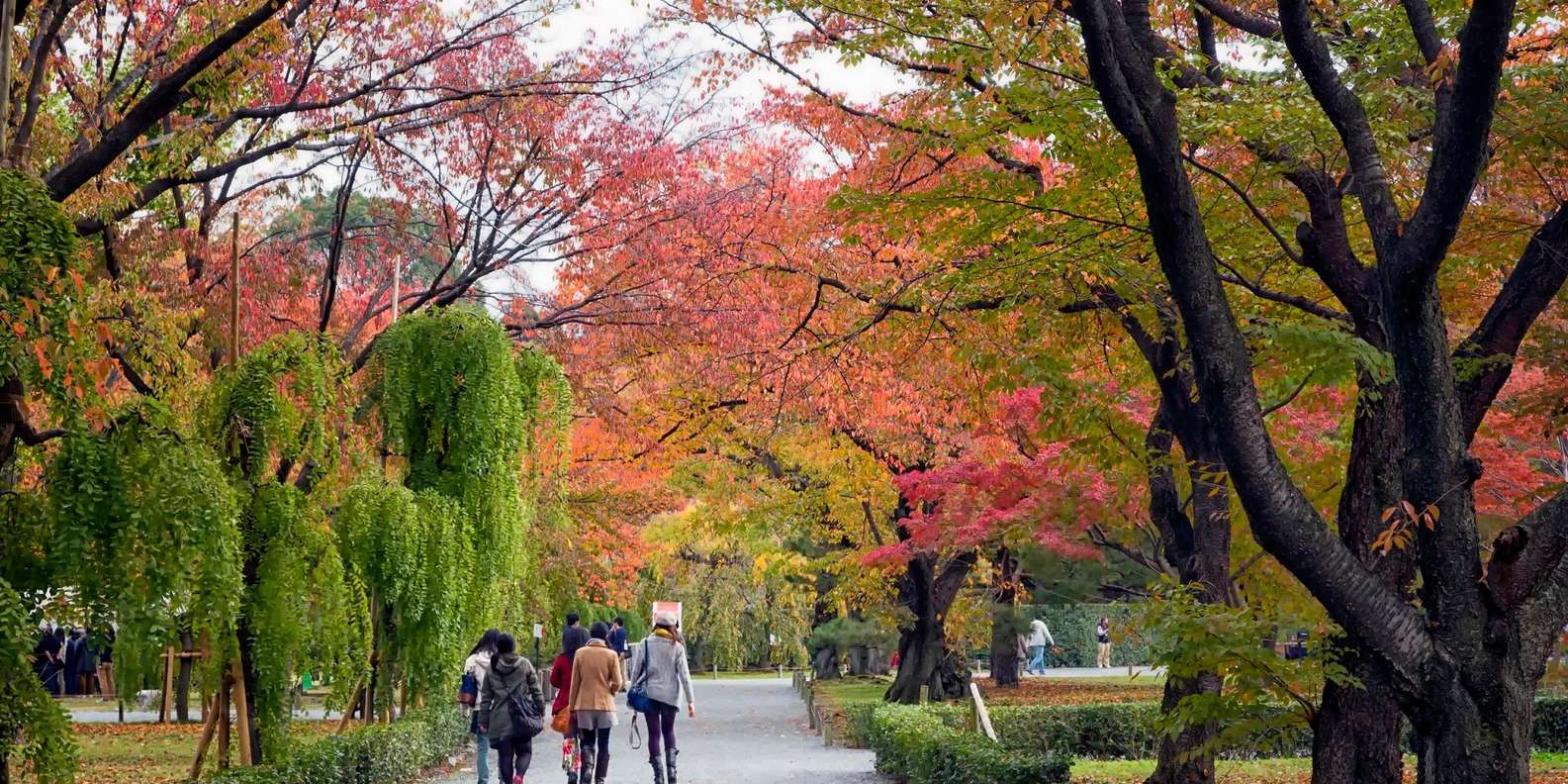 Kyoto experience — temples, geisha, bamboo grove — image 20