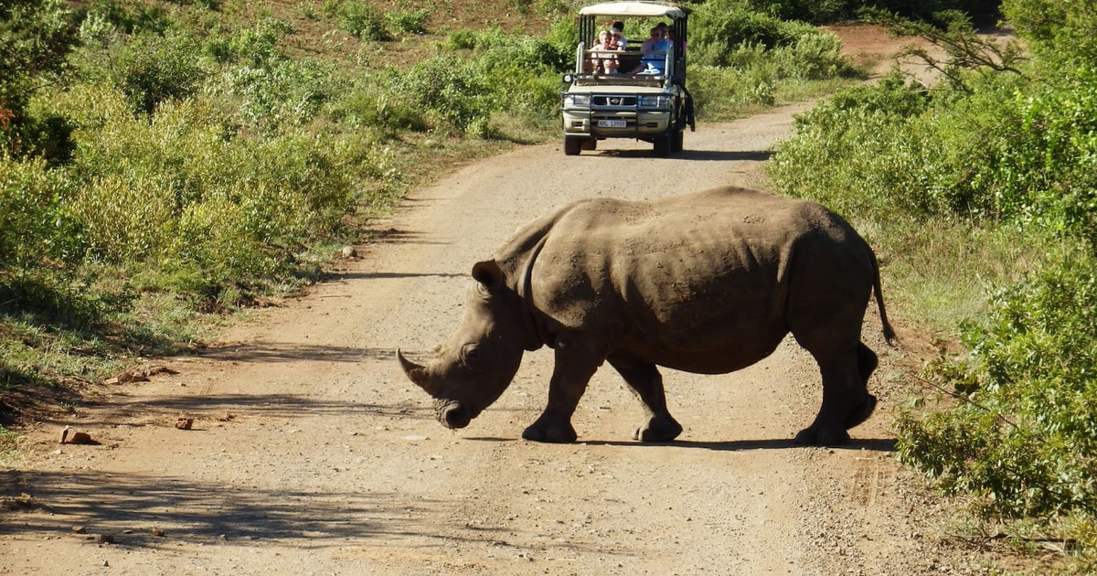 From Cape Town Wildlife Safari and Winelands Tour Combo Cape Town