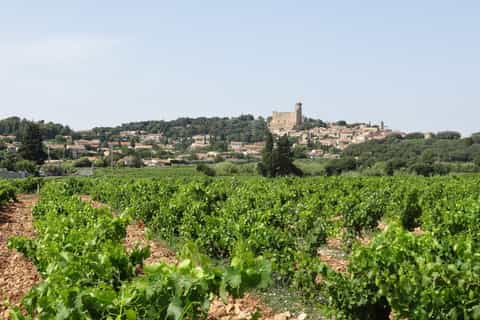From Marseille Port to Avignon and Chateauneuf du Pape