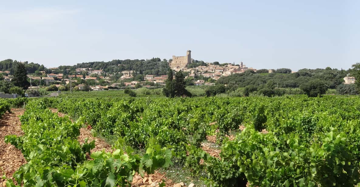 From Marseille Port to Avignon and Chateauneuf du Pape