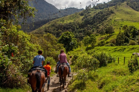 Medellin: Wycieczka z przewodnikiem konno na łonie naturyMedellin: Wycieczka konna z przewodnikiem na łonie natury