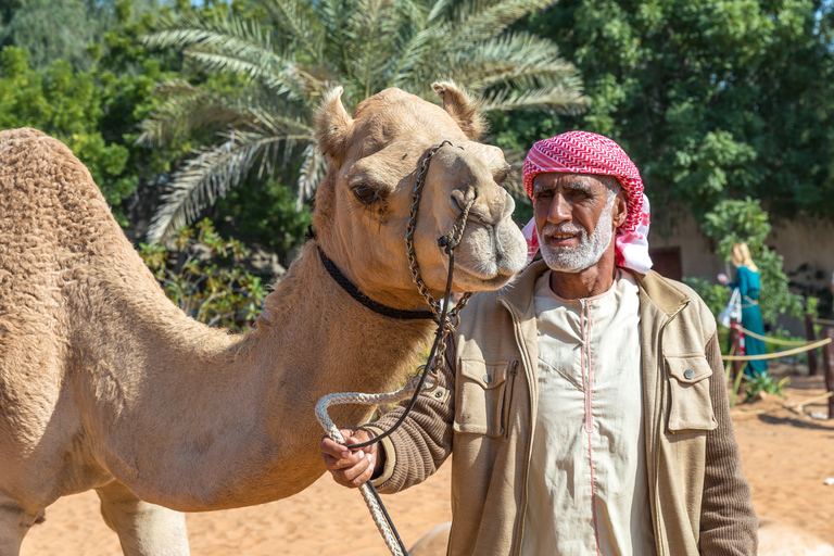 Vanuit Dubai: 1-daagse fototour Abu Dhabi1-daagse privéfototour Abu Dhabi