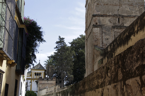 Séville : Alcazar royal, cathédrale et tour GiraldaVisite en anglais