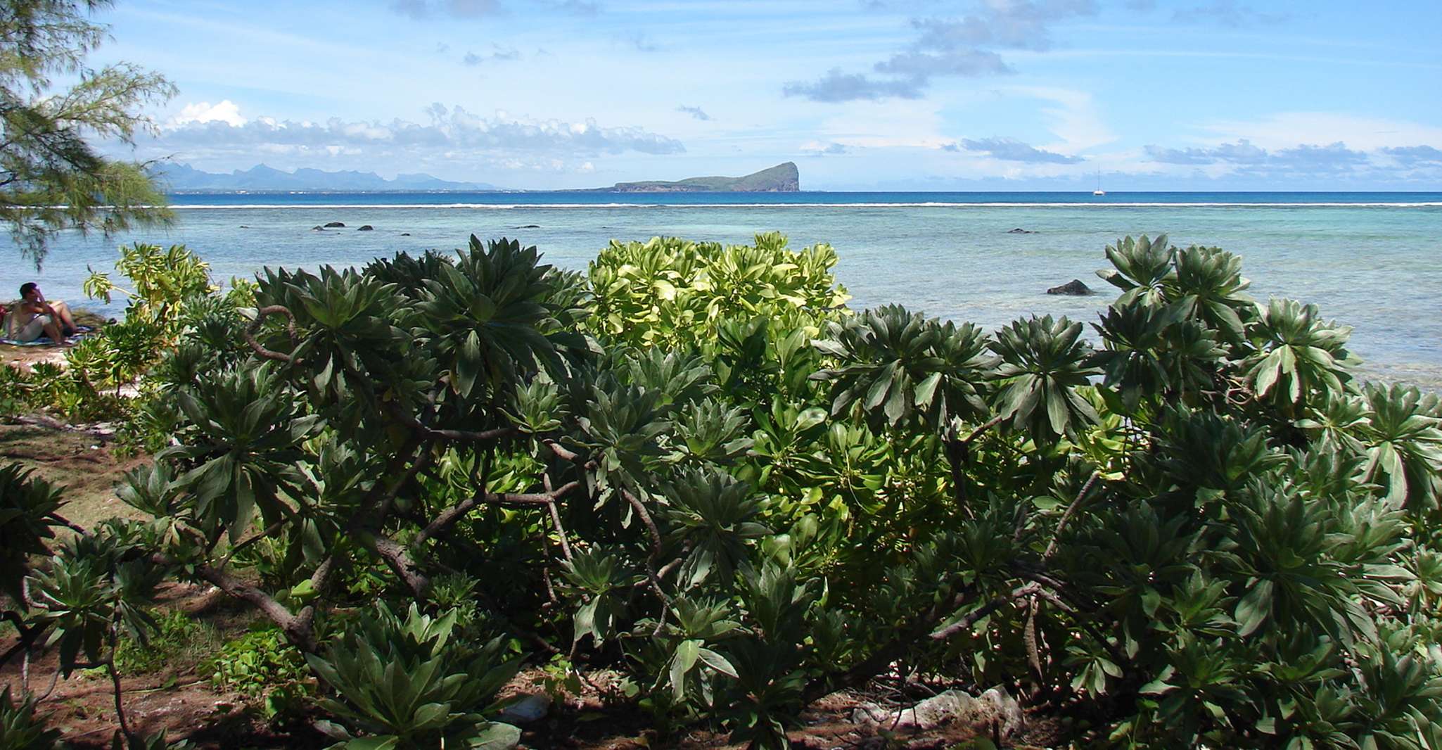 Tre isole del nord, viaggio privato in barca e barbecue sulla spiaggia - Hizvo