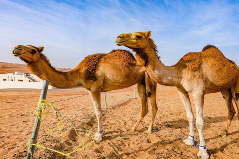 Muscat: Snorkeling Day Trip and Wahiba Sands Desert Sunset