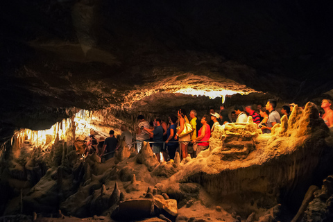 Mallorca: Caves of Drach Tour from the North with Boat TripPalma de Mallorca Meeting Point