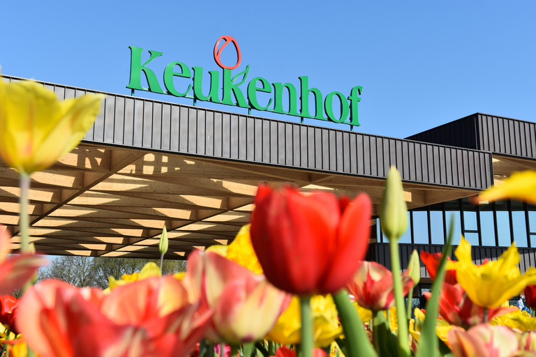 From Amsterdam: Keukenhof Gardens & Tulip Experience Tour Keukenhof Gardens Trip without Canal Tour Voucher