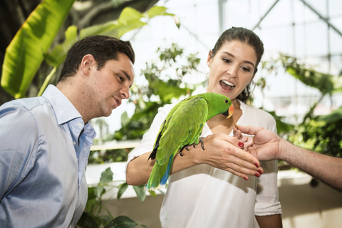 Dubaï : Green Planet, la forêt tropicale unique en intérieur