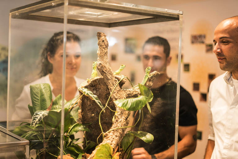 Dubaï : Green Planet, la forêt tropicale unique en intérieur