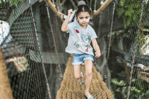 The Green Planet - Dubai&#039;s Unique Indoor Rainforest