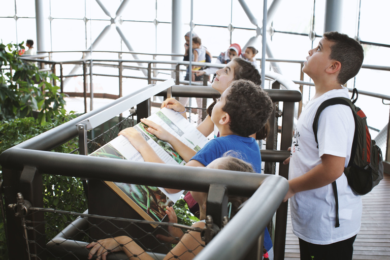 Dubai: Green Planet - het unieke indoor regenwoud