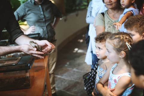 The Green Planet - Dubai's Unique Indoor Rainforest